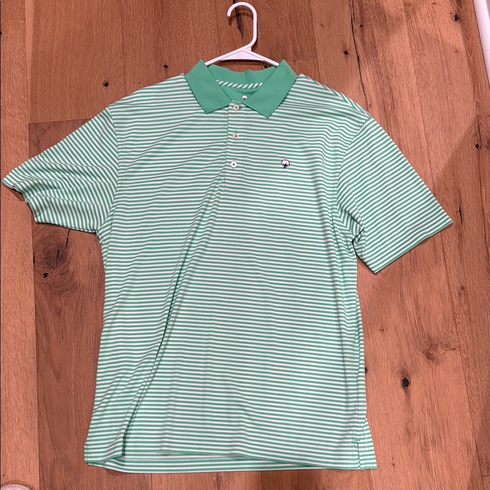 Southern shirt Green Striped Polo Shirt
